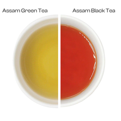 Elephant-Friendly Assam Tea Duo Pack.