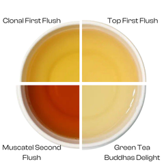 Darjeeling Royal Tea Collection