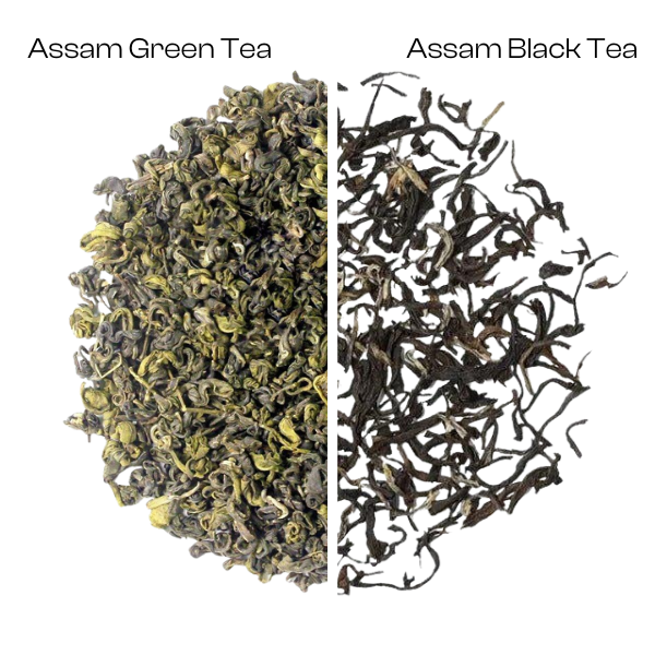 Elephant-Friendly Assam Tea Duo Pack
