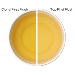 Organic Himalayan First Flush Twin Pack